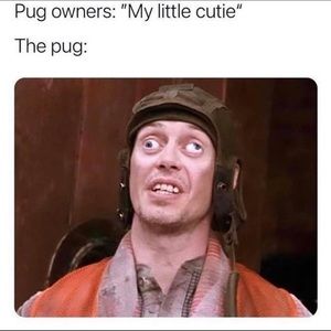 Meet your Posher, Neil